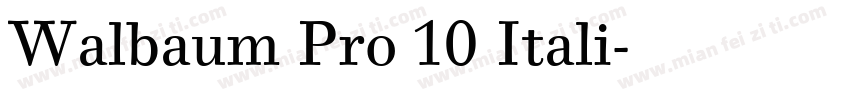 Walbaum Pro 10 Itali字体转换